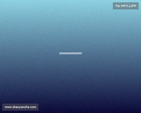 欧冠历届主办城市盘点与足球文化发展探析